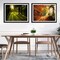 Paint by Numbers Kit for Adults Beginners 2 Pack Paint by Numbers for Adults Rolled up Canvas for Home Decoration Creative Wall Art with Colorful Gift Box 12x16 inch Forest Sunrise 175-176